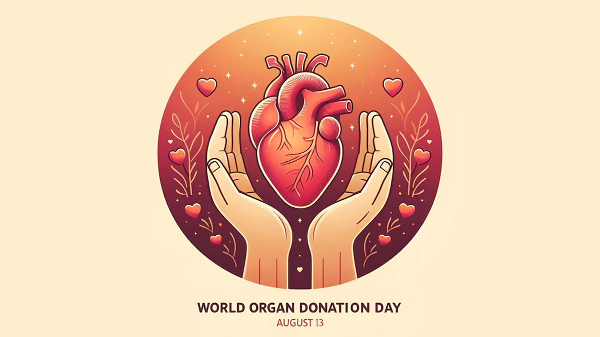 World Organ Donation Day 2024: Understanding Theme, History And Significance